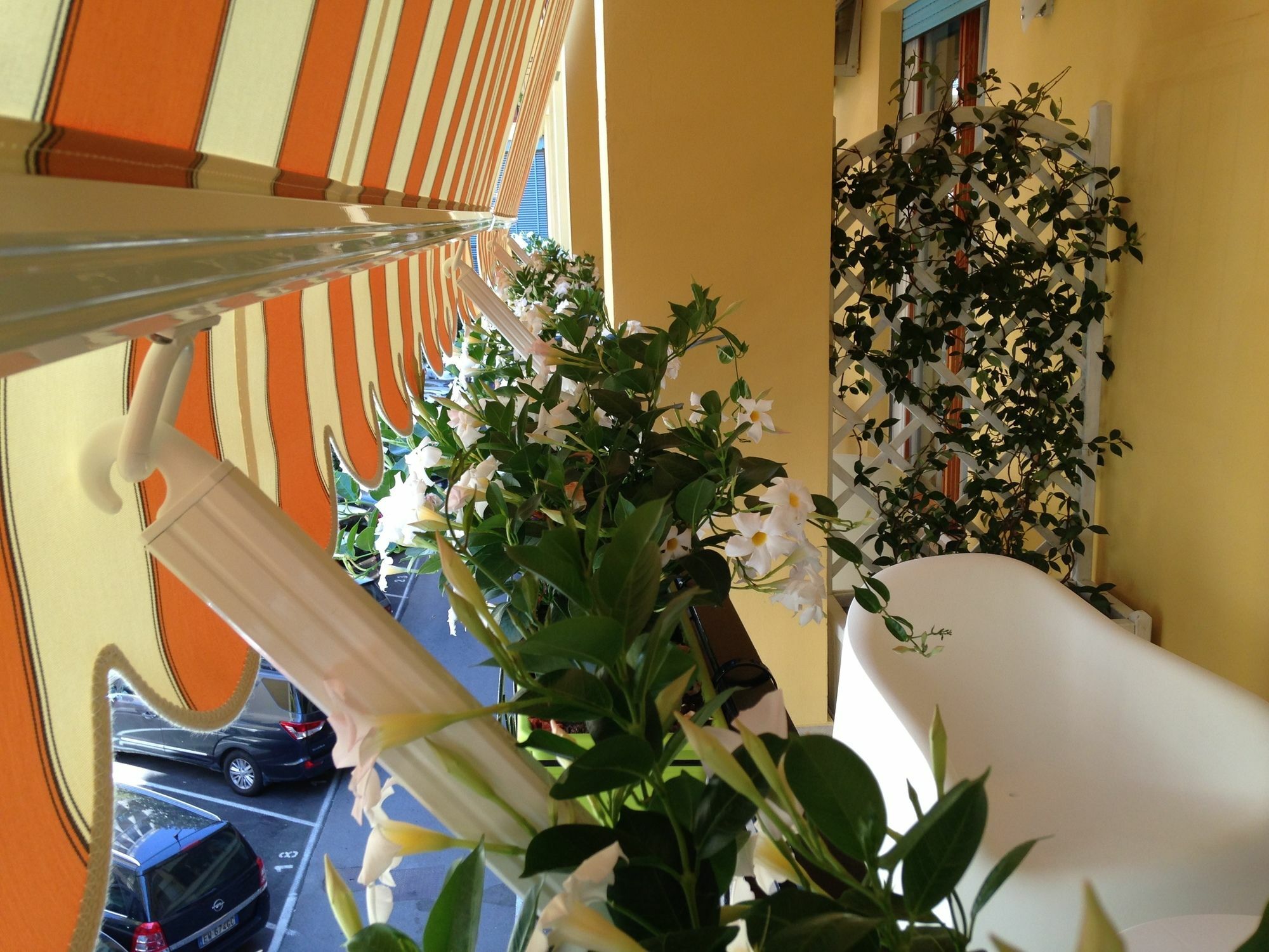 Al Parco Verde B&B Sorrento Eksteriør bilde